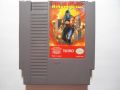 Ninja Gaiden Ninja Gaiden